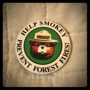 A Smokey the Bear pin.
